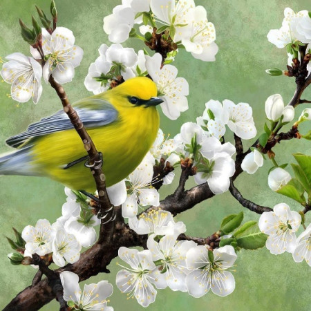 Primavera sta arrivando